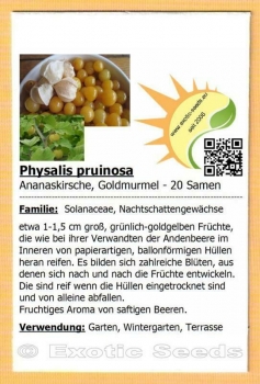 Physalis pruinosa, 20 Samen